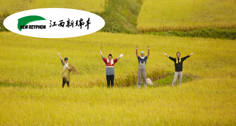 新瑞豐-百年基業(yè)，信息為本，以農(nóng)為先